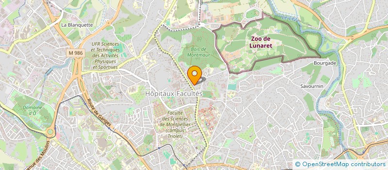 localisation de l'entreprise MONSIEUR PATRICK HIERARD à MONTPELLIER