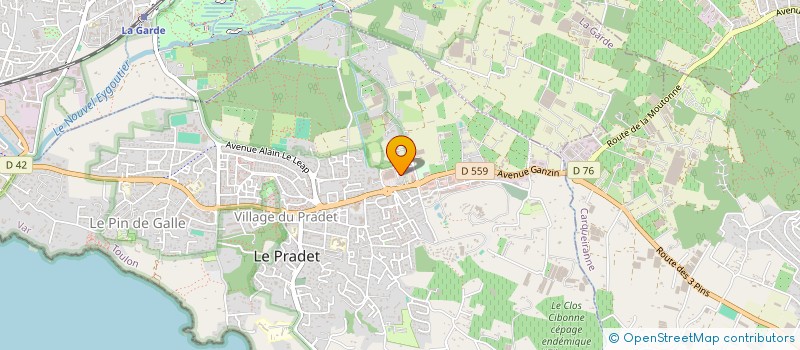 localisation de l'entreprise MONSIEUR PATRICK INGLESE  LE PRADET