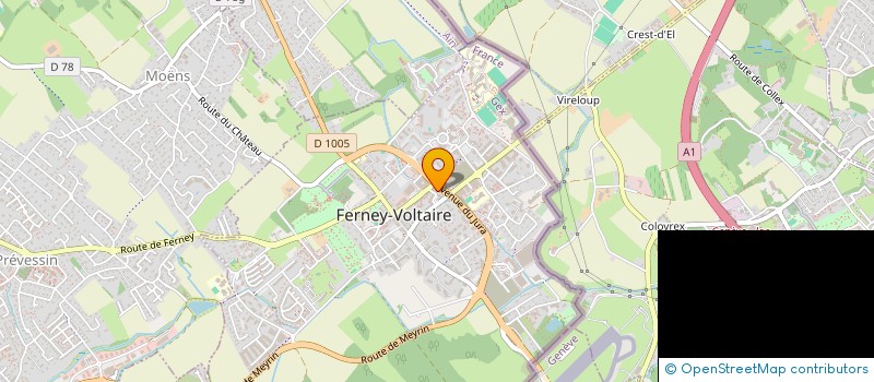 localisation de l'entreprise MONSIEUR PATRICK JOZ-ROLAND à FERNEY-VOLTAIRE