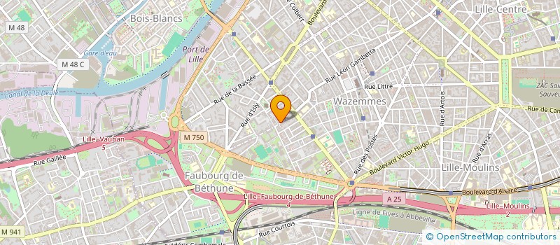 localisation de l'entreprise MONSIEUR PATRICK LALOUETTE  LILLE