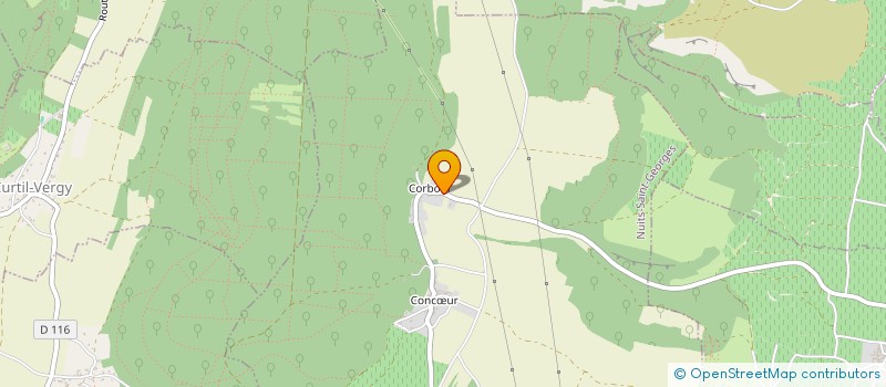 localisation de l'entreprise MONSIEUR PATRICK LAMY à NUITS-SAINT-GEORGES