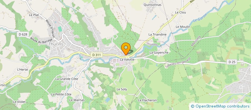 localisation de l'entreprise MONSIEUR PATRICK LAPARA  THURINS