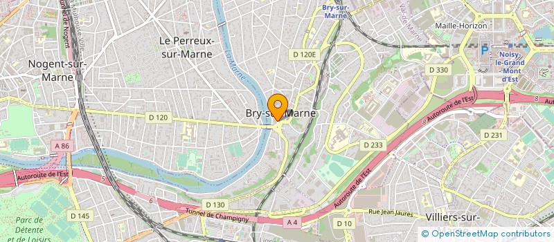 localisation de l'entreprise MONSIEUR PATRICK LE DISSEZ à BRY-SUR-MARNE