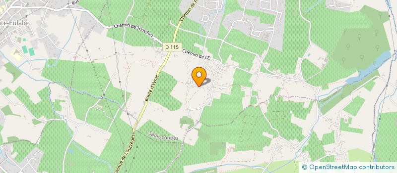 localisation de l'entreprise MONSIEUR PATRICK LEFRANCOIS  SAINT-LOUBES