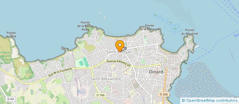 localisation de l'entreprise MONSIEUR PATRICK LESIEUR  DINARD