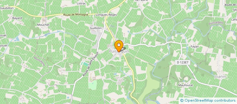 localisation de l'entreprise MONSIEUR PATRICK LESUEUR  PUISSEGUIN