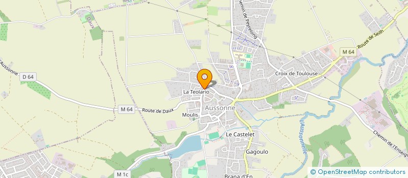 localisation de l'entreprise MONSIEUR PATRICK LEVET à AUSSONNE