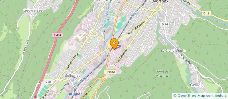 localisation de l'entreprise MONSIEUR PATRICK MAGRIN à OYONNAX