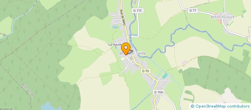 localisation de l'entreprise MONSIEUR PATRICK MARTIN à BRIN-SUR-SEILLE