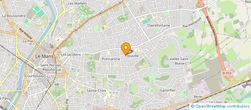 localisation de l'entreprise MONSIEUR PATRICK MARTIN à LE MANS