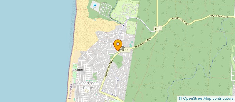 localisation de l'entreprise MONSIEUR PATRICK MASSIERE  BISCARROSSE