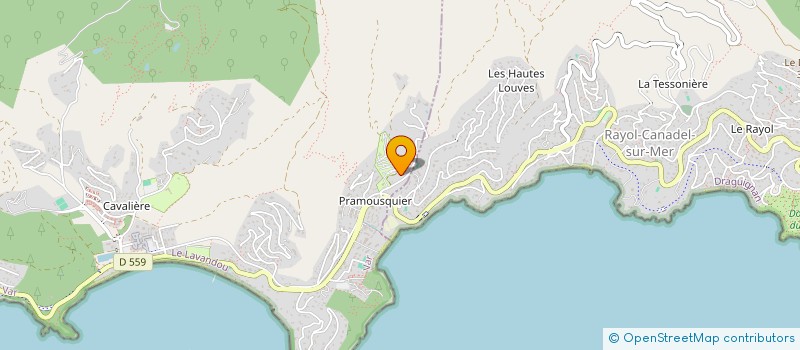 localisation de l'entreprise MONSIEUR PATRICK MASSON à LE LAVANDOU