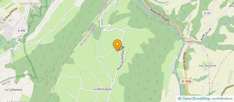 localisation de l'entreprise MONSIEUR PATRICK MAULIN  MIRIBEL-LES-ECHELLES