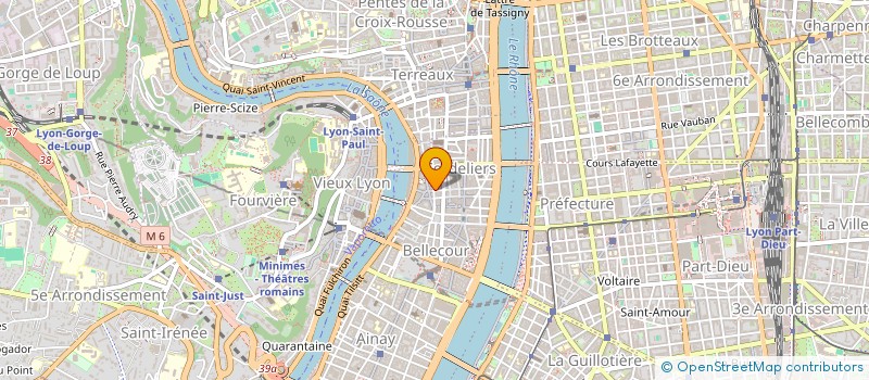 localisation de l'entreprise MONSIEUR PATRICK MCCARTHY  LYON