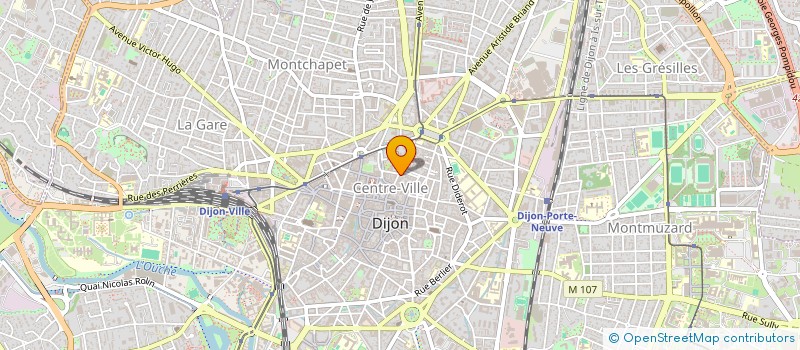 localisation de l'entreprise MONSIEUR PATRICK METZGER  DIJON