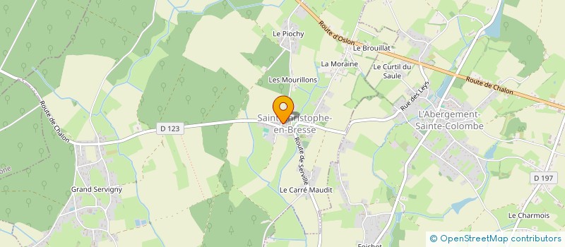 localisation de l'entreprise MONSIEUR PATRICK MEZIERE  SAINT-CHRISTOPHE-EN-BRESSE