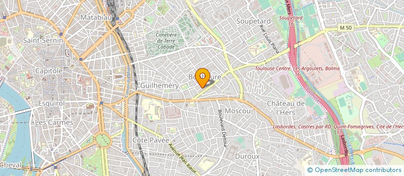 localisation de l'entreprise MONSIEUR PATRICK MOLINA à TOULOUSE
