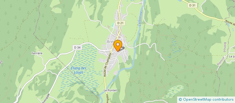 localisation de l'entreprise MONSIEUR PATRICK MOREL  BRENOD