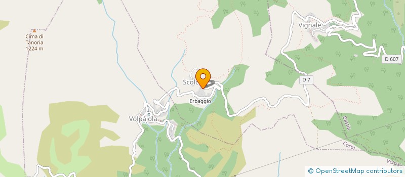 localisation de l'entreprise MONSIEUR PATRICK MORELLINI  SCOLCA