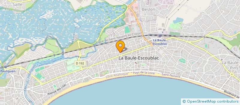 localisation de l'entreprise MONSIEUR PATRICK MOUCHOUS à LA BAULE-ESCOUBLAC