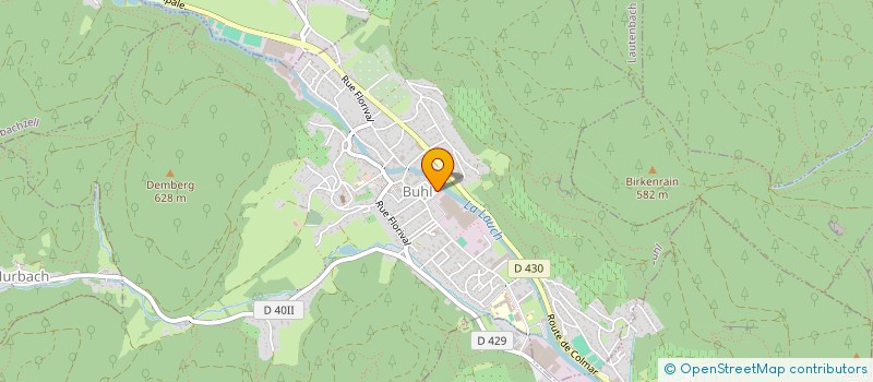 localisation de l'entreprise MONSIEUR PATRICK MURER  BUHL