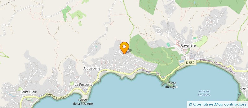 localisation de l'entreprise MONSIEUR PATRICK NONET à LE LAVANDOU