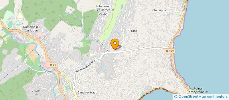 localisation de l'entreprise MONSIEUR PATRICK OLMER à SAINTE-MAXIME