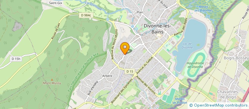 localisation de l'entreprise MONSIEUR PATRICK PERCEBOIS à DIVONNE-LES-BAINS