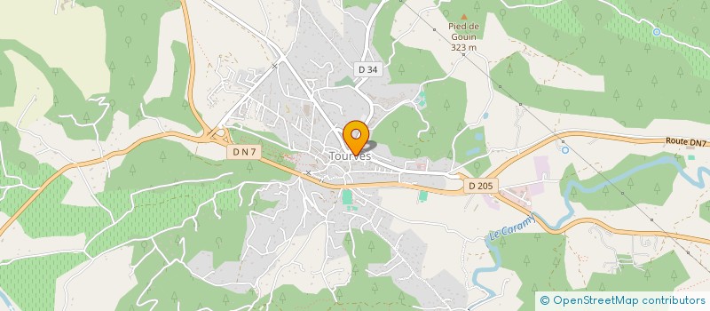 localisation de l'entreprise MONSIEUR PATRICK PERENGO  TOURVES