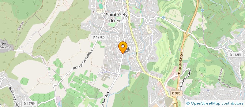 localisation de l'entreprise MONSIEUR PATRICK PICOT à SAINT-GELY-DU-FESC