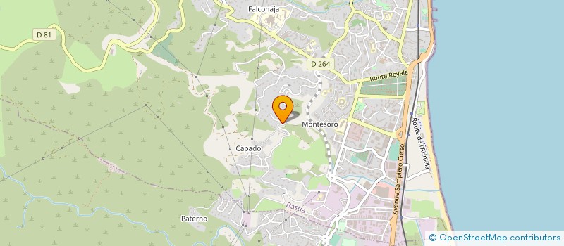 localisation de l'entreprise MONSIEUR PATRICK RAFFINI à BASTIA