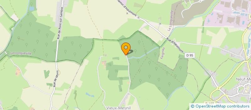 localisation de l'entreprise MONSIEUR PATRICK RAUX  VIEUX-MESNIL