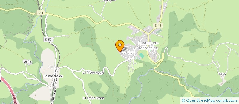 localisation de l'entreprise MONSIEUR PATRICK REMPLAKOWSKI à RUYNES-EN-MARGERIDE