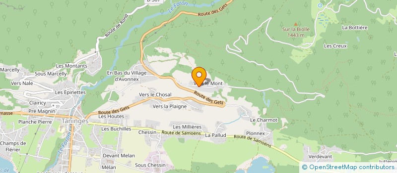 localisation de l'entreprise MONSIEUR PATRICK ROCHEMONT  TANINGES