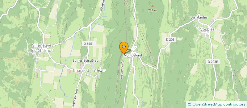 localisation de l'entreprise MONSIEUR PATRICK ROCHET  VOSBLES-VALFIN