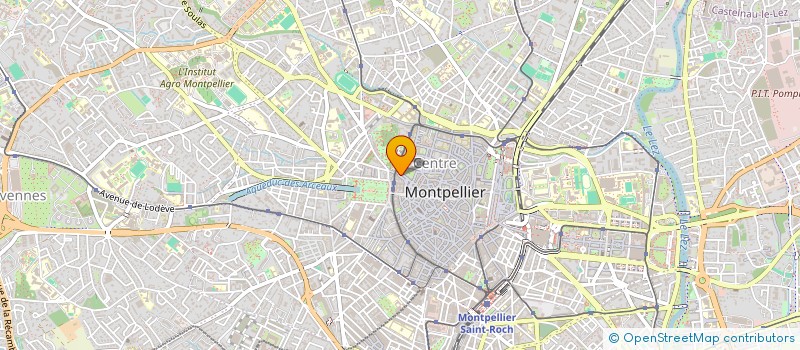localisation de l'entreprise MONSIEUR PATRICK ROGER à MONTPELLIER