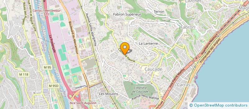 localisation de l'entreprise MONSIEUR PATRICK ROSINSKI  NICE