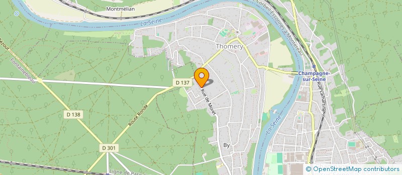 localisation de l'entreprise MONSIEUR PATRICK SANTANA  THOMERY