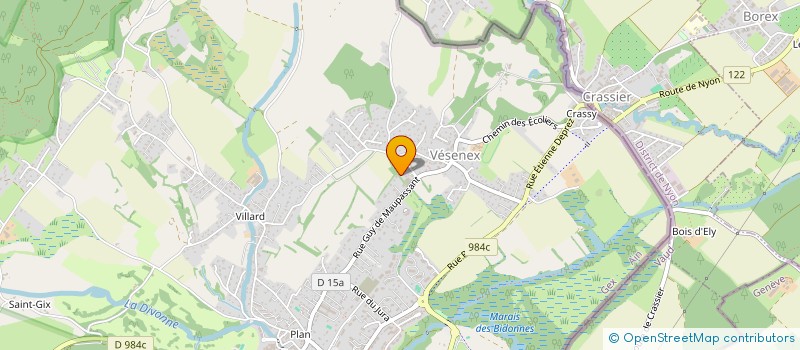 localisation de l'entreprise MONSIEUR PATRICK SAULTIER  DIVONNE-LES-BAINS