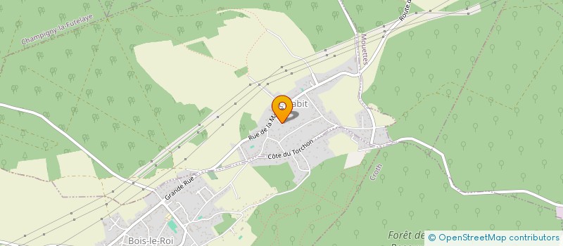 localisation de l'entreprise MONSIEUR PATRICK SZEBESTA  TALMONT-SAINT-HILAIRE