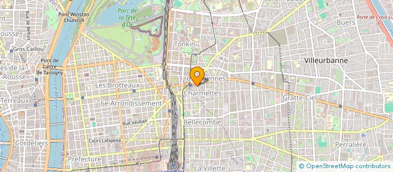 localisation de l'entreprise MONSIEUR PATRICK THIVILLIER  VILLEURBANNE