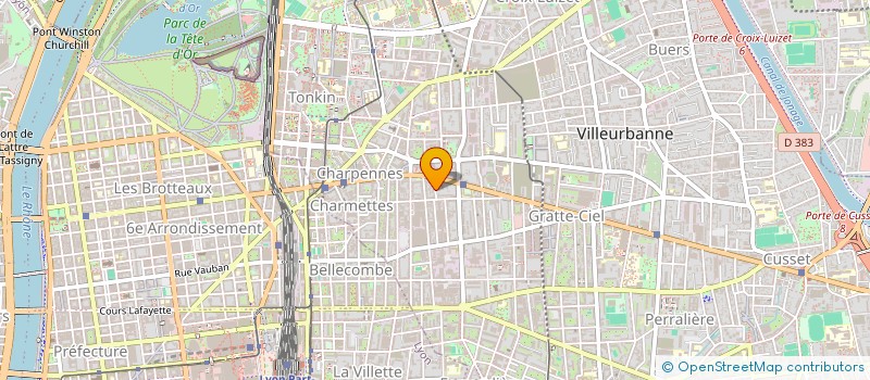 localisation de l'entreprise MONSIEUR PATRICK TOURRET à VILLEURBANNE