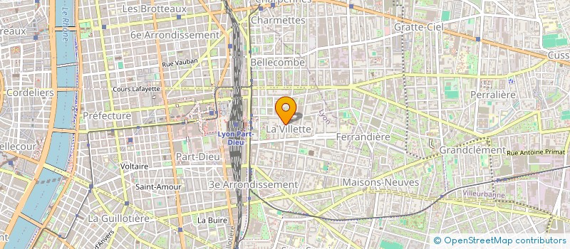 localisation de l'entreprise MONSIEUR PATRICK TRESSON à LYON