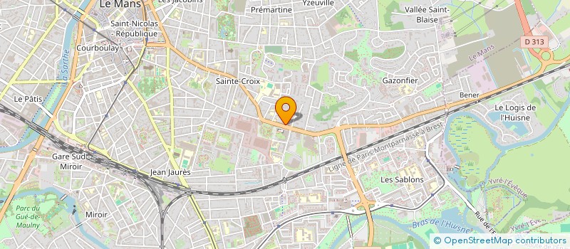 localisation de l'entreprise MONSIEUR PATRICK TURGNE  LE MANS