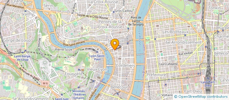 localisation de l'entreprise MONSIEUR PATRICK VIRET à LYON