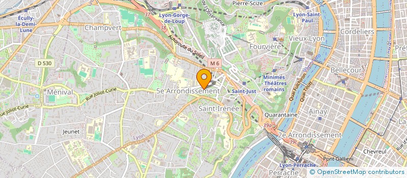 localisation de l'entreprise MONSIEUR PATRICK WHITECHURCH à LYON