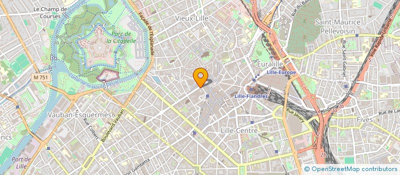 localisation de l'entreprise MONSIEUR PATRYK RAPITA  LILLE