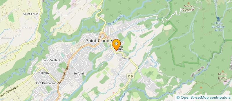 localisation de l'entreprise MONSIEUR PAUL ALIANE à SAINT-CLAUDE