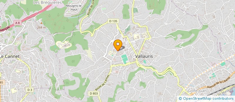 localisation de l'entreprise MONSIEUR PAUL BAIN à VALLAURIS