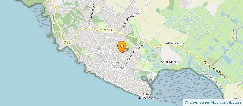 localisation de l'entreprise MONSIEUR PAUL BOISSON  MESCHERS-SUR-GIRONDE